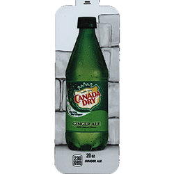 DS33CDGA20 - Royal Chameleon Canada Dry Ginger Ale Label (20oz Bottle with Calorie) - 3 5/8" x 10"