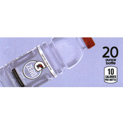 DS42GZGC20 - Gatorade Zero Glacier Cherry (20oz Bottle with Calorie) - 1 3/4" x 3 19/32"