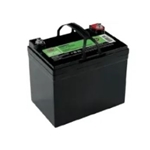 DS1275A - Lectrotruck Battery LT12